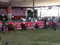 A-dog-show-mannuthy-thrissur-2011-3