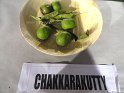 Chakkarakutty