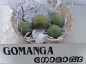 Gomanga