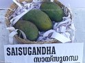 Saisugandha
